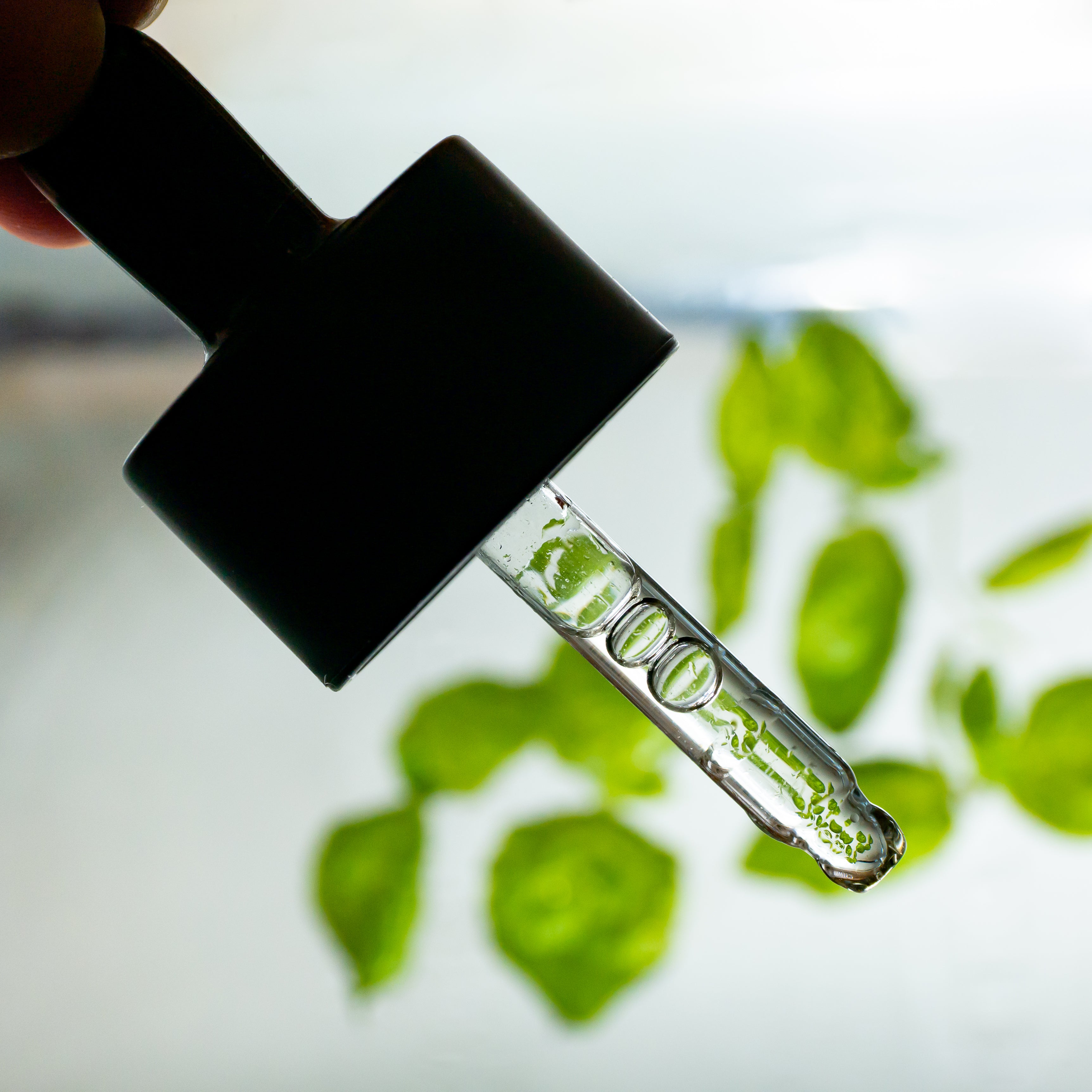 USVA Rainforest Oil Serum